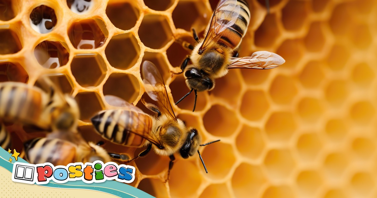Mengapa lebah menggunakan sarang lebah untuk membangun sarangnya